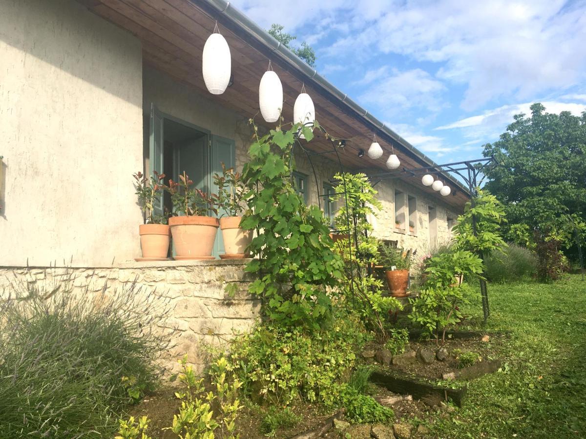 Hungry Grape Guests Hotel Erdobenye Exterior photo