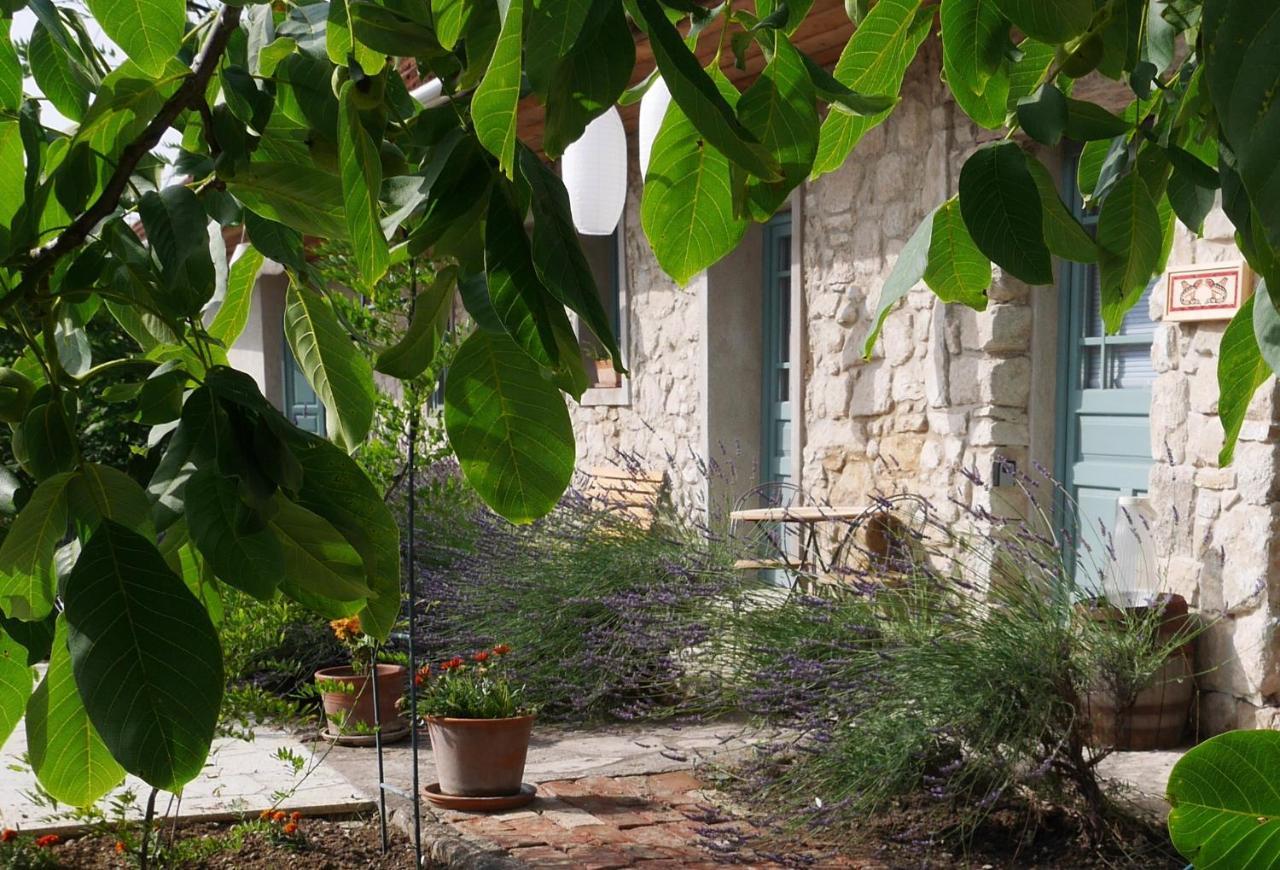 Hungry Grape Guests Hotel Erdobenye Exterior photo